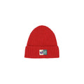 JNST BEANIE